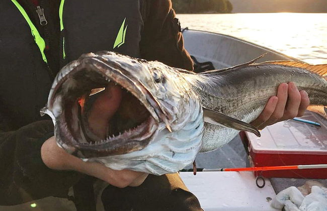 Holiday Home in EidsvÃ¥g - Foto 31