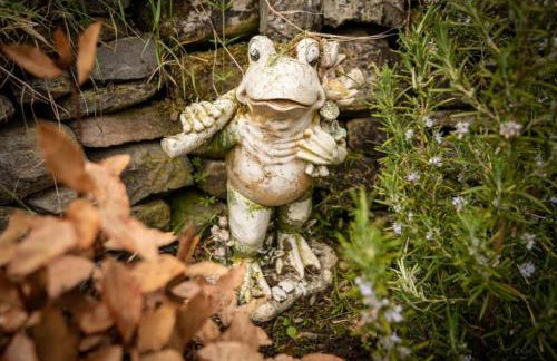 Foulis Cottage, Foulis Estate, Highland Scotland - Foto 16