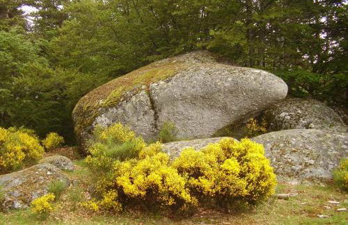 Gite bienvenue a couffinet - Foto 26