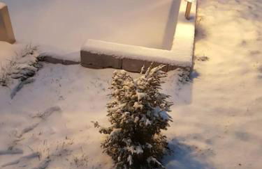 Fewo "Elsa" Reichmannsdorf - Brötchenservice - Foto 43