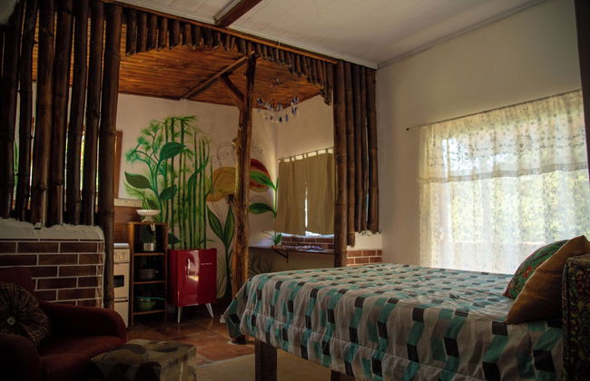 Gaia de Luz - Foto 9