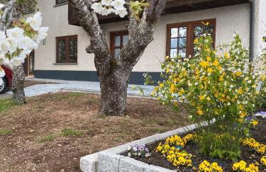 Schwarzwaldnest Dachsberg - Foto 3