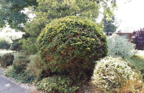 LIVING .... Bungalow mit großem Garten . - Foto 29