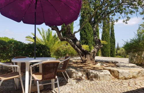 Monte-Bougainvillea - Foto 56