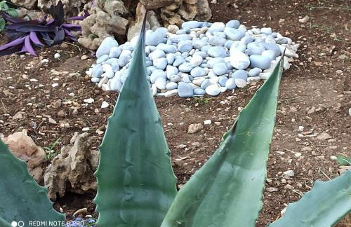 Apartmani Mislav - Photo 53