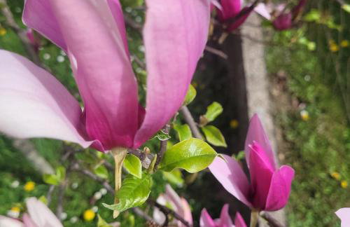 Apartman Mate - Foto 28