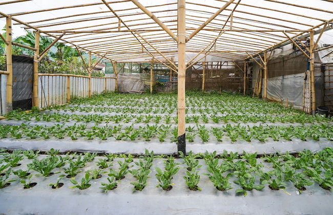 OYO Homes 91006 Eco Tourism Desa Cibodas Areng 5 Syariah - Photo 25