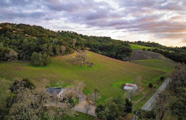 Luxury Wine Country Haven + Vineyard Views Near Top Wineries Adelaida Farmhouse - Foto 41