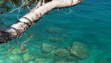 Camping Apartment Vignanotica - Foto 4