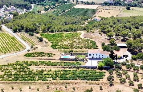 Masia St Salvador 1582 - Foto 4