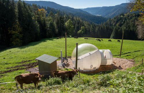 Hansjörgenhof Bioland-Hof - Foto 23