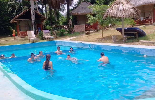 La Casa del Ayahuasca - Luz del Amazonas - Foto 8