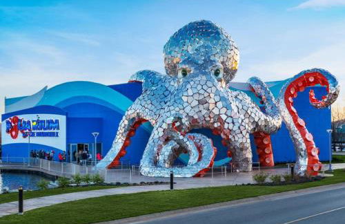 Splash and Stay at Kimberling Crossing - Foto 43