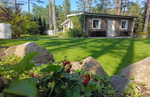 Sosnowy Azyl - Foto 60