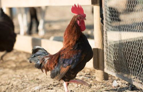 Agriturismo La Fonte - Photo 18