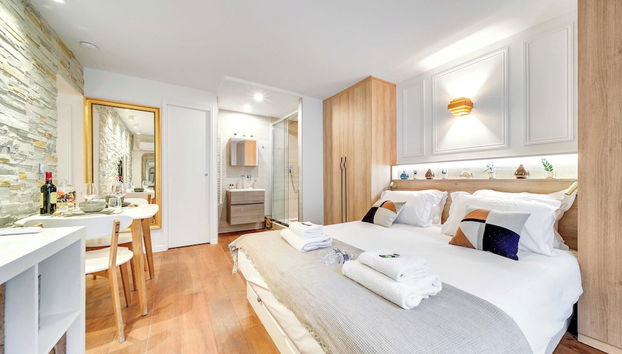 Amazing Historical Parisien Studio Next TO Louvre Area ! - 2 - Foto 4, Habitación