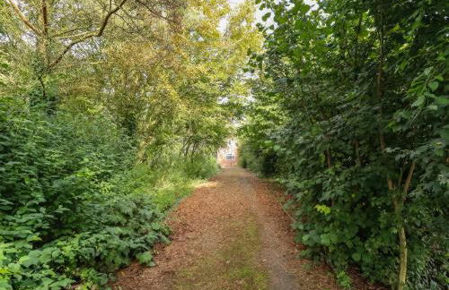 Paws In The Pines - Foto 20