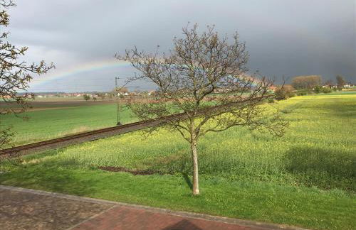 29 Haster Straße - Foto 24