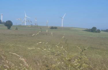 Schöne Aussicht - Photo 32