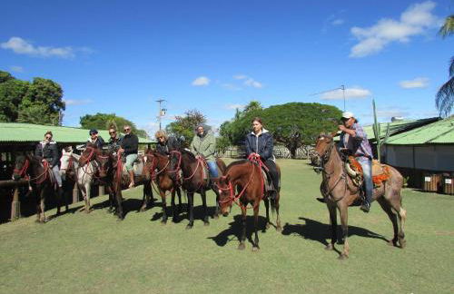 Pousada São João - Estrada Parque Pantanal - Photo 32