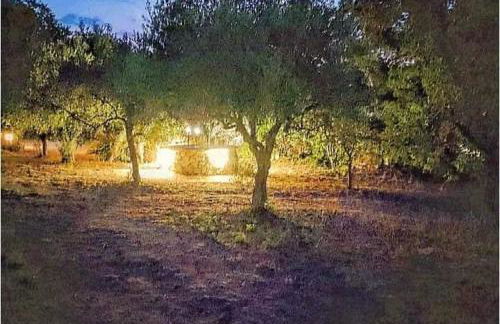 La Casetta Nel Bosco Delle Nereidi - Foto 21