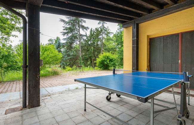 Giorgio Winery - Foto 30