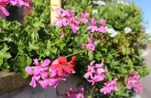 Apartment Tri Zala 4432b - Foto 12