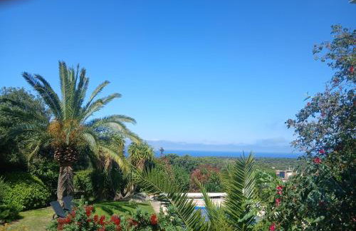 Appartement à Lumio - Foto 2