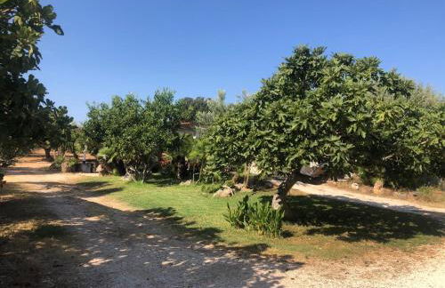 NicChia Turchese - Foto 1