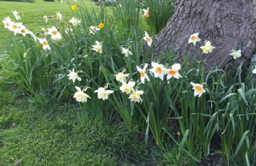Gaer Fawr Barns - Photo 17