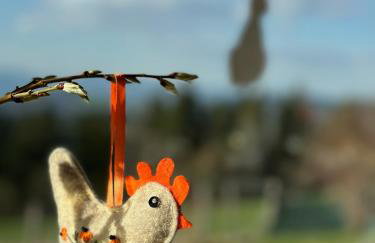 Domek Tatry - Stacja Wierchowa 972 m - Foto 70