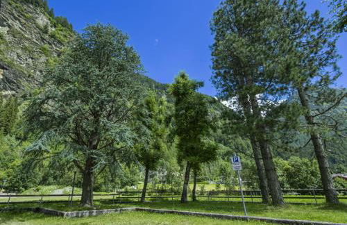 Apartment Leonardi Terrace by Interhome - Photo 25