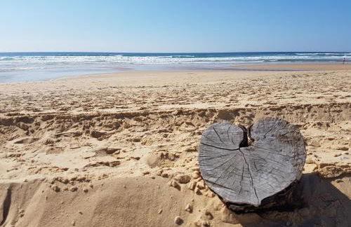 T2, 50m du lac, PISCINE, WIFI, jardin terrasse sans vis-à-vis, 1 à 4 pers - Foto 40