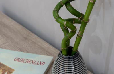 Bright Eco Studios by GHH - Foto 106