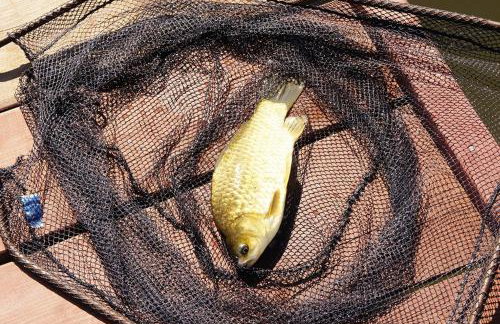 Domki Loft nad Stawem 4d4dz - Foto 31