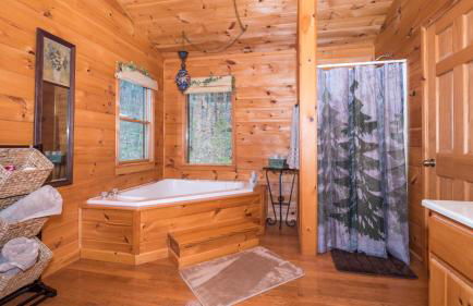 Red Apple Mountaintop cabin hot tub, WiFi, Pet friendly, Fireplace, pit, BEST VIEWS - Foto 15