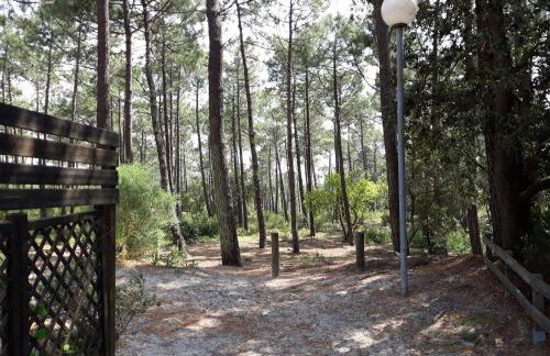 pavillon cozy dans la pinède - 2 chambres- 4 personnes - Foto 23