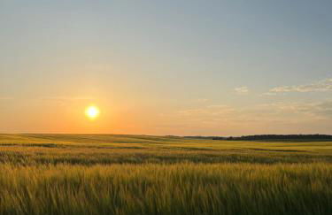 Ferienwohnung in Schmargendorf bei Angermünde - Foto 18