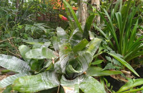 Tranquilidade e linda vista da lagoa - Foto 46