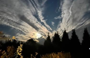 Bluebell Farm - Foto 13