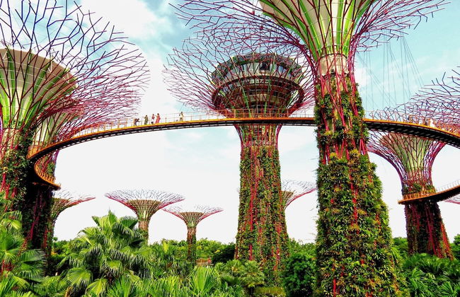 Wilby Central Serviced Apartments - Photo 56