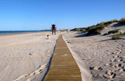 Oasis en la playa - Foto 30