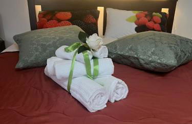 [Historic Center] Via Po Apartment - Foto 59