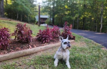 Wilderness retreat - Foto 23