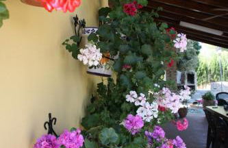 Villa Rural Paquete - Foto 15