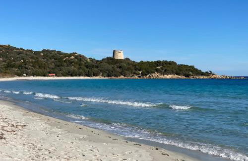 La Collina: Il maestrale - Foto 9