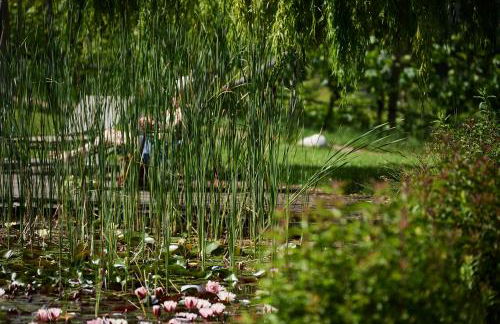 Weingut Stuck - Foto 25