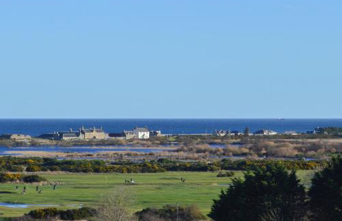 March Brown - Foto 17