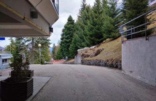 Marilleva1400 Residence Albaré hotel Solaria - Foto 19