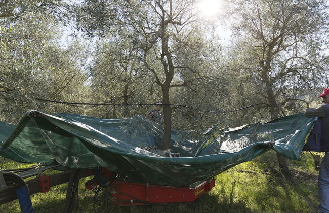 Podere le Corone - Foto 36